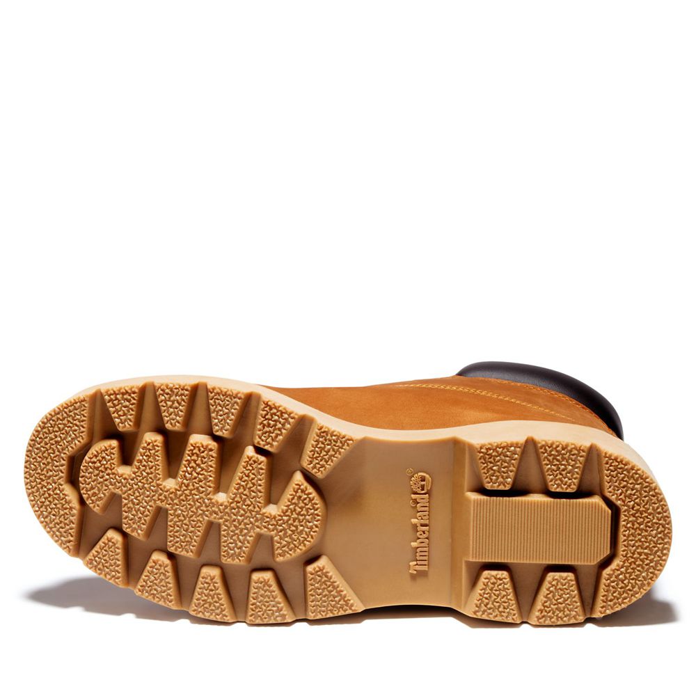 Bota Neve Masculino - Timberland 6-Inch Basic Impermeavel W/Padded Collar - TBDFR5176 - Marrom